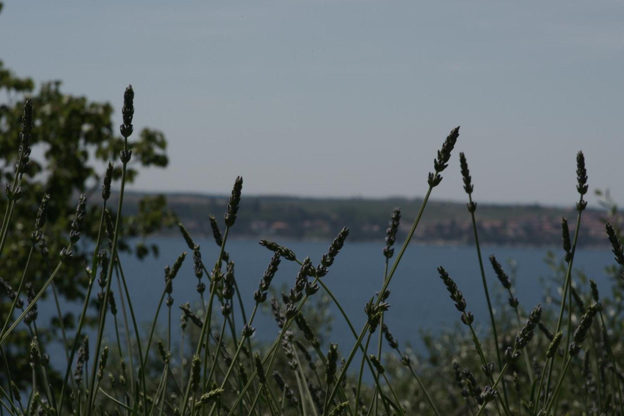 Apartments Hafner Portorož Kültér fotó